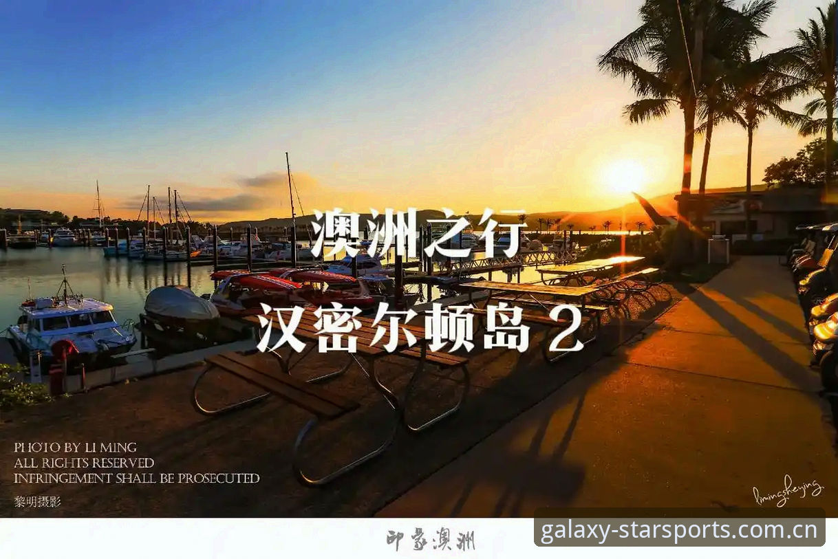 资深用户分享星空体育综合的实用使用心得与创新技巧